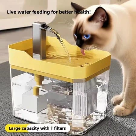 Bebedouro Fonte para Gatos Automático com Filtro: Vale a Pena?