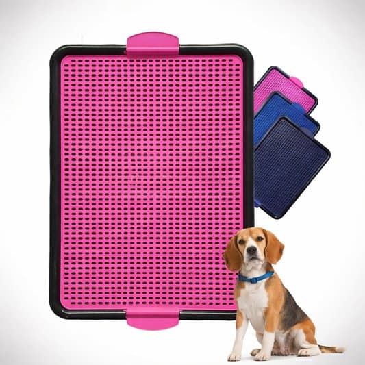 Pet até R$ 50: o que vale a pena na Shopee em 2026