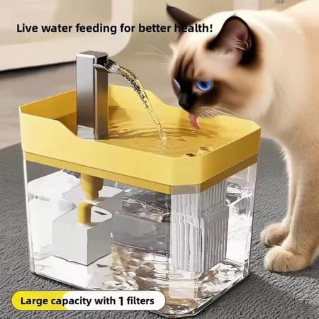Bebedouro Fonte para Gatos Automático com Filtro: Vale a Pena?